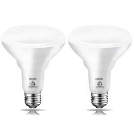 Energetic 2 Pack 75W BR30 LED Recessed Light Bulb, Dimmable, 900 Lumens, Daylight 5000K, E26 Base, Indoor LED Flood Light Bulb for 5/6 Inches Cans