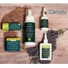 Canviiy ScalpBliss Soothing Scalp-Purifyin