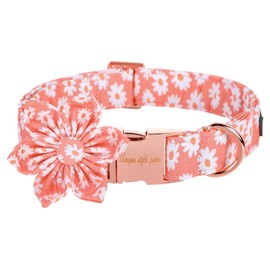 Unique style paws Dog Collar with Flower Tie Pink Daisy Summer Dog Collar for Small Medium Large Dogs with Adjustable Metal Buckle -M