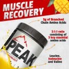 Kodiak Supplements Peak Post Workout - BCAA 2:1:1 Creatine -