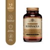 Solgar ECHINACEA, 100 capsule vegetali – Echinacea purpurea – difese