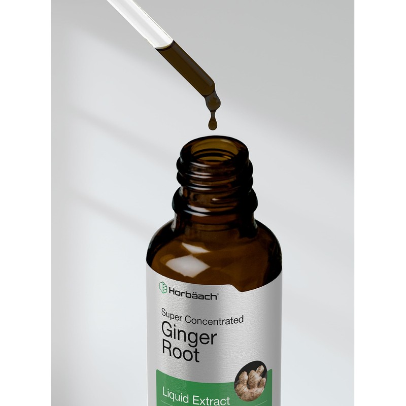 Horbäach Ginger Root Extract Liquid | 2 oz | Alcohol