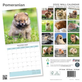 Baker and Bray Pomeranian Calendar 2025, Large Square Wall Calendar, 16 Month, Pomeranian Gift Dog Calendar.