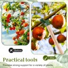 Yungyan 8 Pcs Tree Support, Plastic Fruit Tree Branch Support