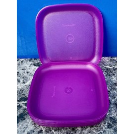 Tupperware New Set 4 Tupperware Luncheon Plates 8” Square Raised Sides Differents  Color - Purple