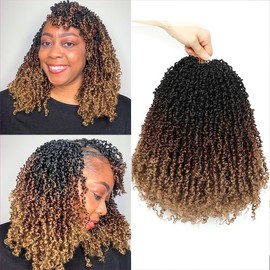Youngther 12 Inch Yanky twist crochet hair 6 Pack Pre-Twisted Fluffy Short yaki Twist crochet hair for black women Soft crochet hair pre looped for senegalese twist hair extension(1b/30/27)