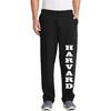 Harvard Open Bottom Black Pocket Sweat Pants (US, Alpha, 4X-Large,