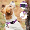 YSJCHEBS Pack of 2 Star Moon Cat Collars and 2