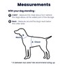 LufeLux Non-Restrictive Dog Harness, Easy Walk Freedom No Pull Harness,