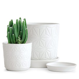 D'vine Dev Ceramic Flower Plants Pots Planter, 3.8 Inch 5.8 Inch Stoneware Planter Pot with Drainage Hole and Saucer, Set of 2, White, 99-E-1