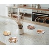 4 x Round Ginger Cat Coasters - Kitten Animals Set