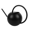 1000ml Watering Can Long Spout Watering Pot Stainless Steel Semi