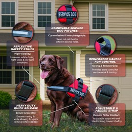 Service Dog Vest Harness Kits with Reflective Straps, Top Handle, ID Tags & Cards - Interchangeable Patches - ESA Dog Vest in 8 Sizes, Durable Service Dog Harness for Working and Support Dogs, Bundle