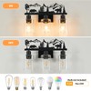MLGB Rustic Farmhouse 3-Light Bathroom Vanity Light with Bear &