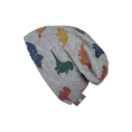 Sterntaler Baby Boys Hat Baby Beanie Hat Dinos, lightgrey