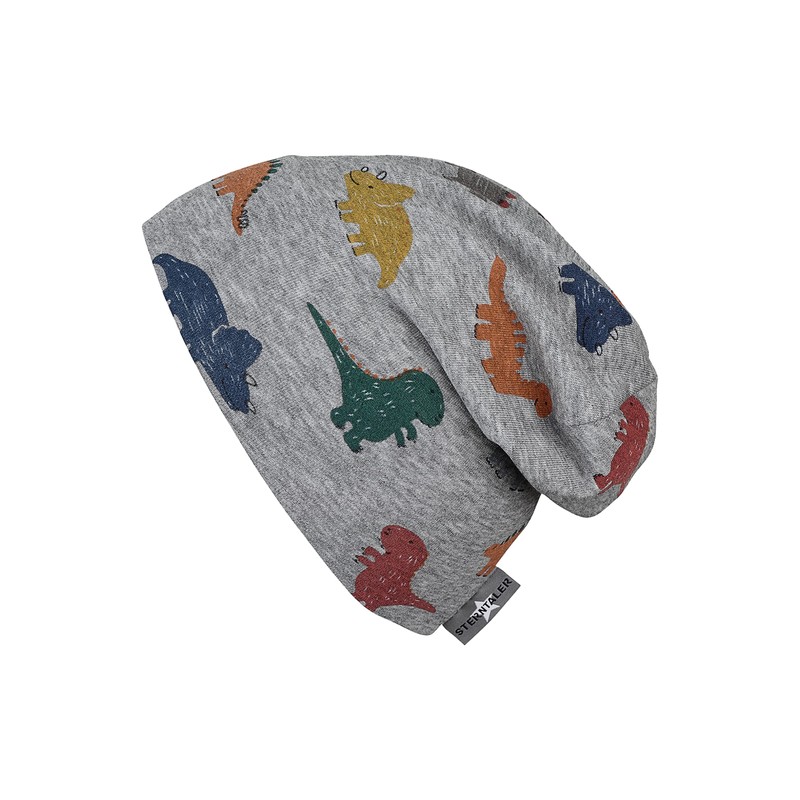 Sterntaler Baby Boys Hat Baby Beanie Hat Dinos, lightgrey