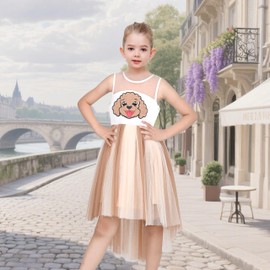 Girls Dress Puppy Fluffy Dog Pet Embroidery High Low Sleeveless Tulle Party Casual Size 7