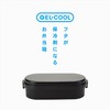 Miyoshi Seisakusho 0101-0174 GEL-COOL Lunch Box with Integrated Ice Pack,
