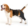 Dog Rear Leg Sleeve to Stop Licking, Hind Leg Protector