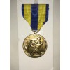 US NAVY EXPEDITIONARY SERVICE MEDAL NEM RIBBON FULL SIZE