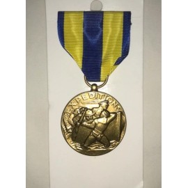 US NAVY EXPEDITIONARY SERVICE MEDAL NEM RIBBON FULL SIZE