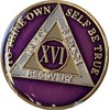 16 Year AA Medallion Metallic Purple Tri-Plate Sobriety Chip Serenity