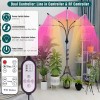 KEELIXIN 5 Head Spectrum Grow Light with Adjustable Stand and