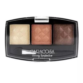 SS [에스에스_62]트리플 그라데이션 아이섀도 키트 305호 SS_62 Triple Gradation Eye Shadow Kit No. 305