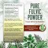 LM-32 HC - Pure Fulvic Acid Capsules - HPTA Test