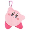 Tees Factory Kirby HK-5544106KB Die Cut Flat Pouch H6.5 x
