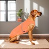 Kickred Set of 2 Dog Summer Clothing Elastic Shirt for