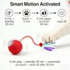 Speedy Tail 2.0 Cat Toy – 2 Replaceable Tails, Controllable