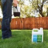 Advanced 16-4-8 Lawn Fertilizer - Liquid Lawn Food Spring &