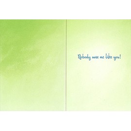 Kittens Nose To Nose - Avanti Funny Cat Friendship Card