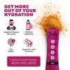 BALA BALA Enzyme Hydration & Sugar-Free Electrolyte Drink Mix Powder