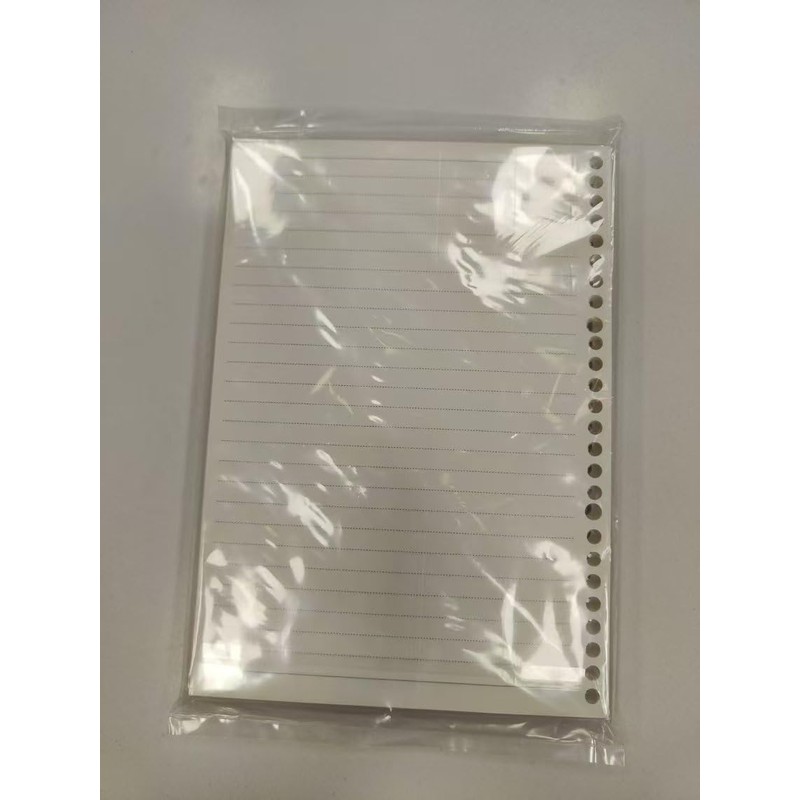 2 Pack A4 4 Holes Page Marker Ruler Plastic Binder