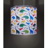 Ereki Ceiling Pendant Light Shade - Printed Colourful and Fun