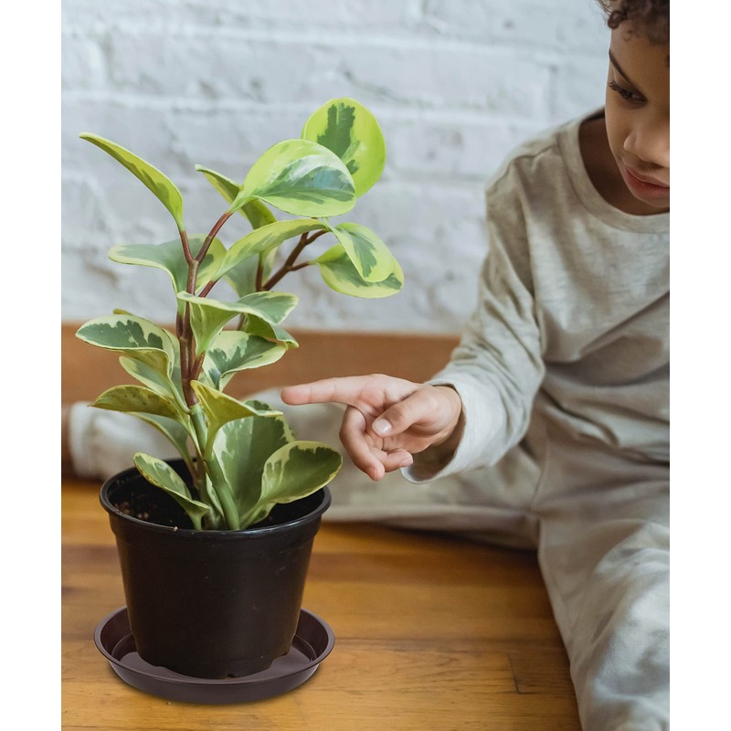 VUWEZ Plastic Plant Saucer, Plant-Saucers