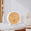 Satisure Nature Sounds Box with Motion Sensor, Wall Mount Timer,
