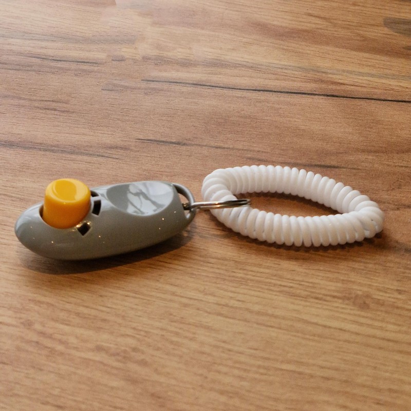 big buddy - Professional Behaviour Training Aid Clicker with Elasticated