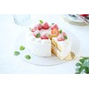 Ihara Kusai CPLL-B Antibacterial Dishwasher Safe Cutting Board Cutting Plate