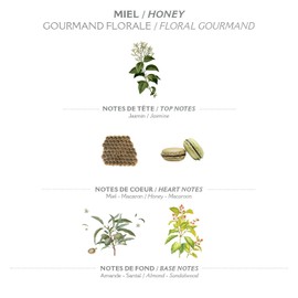 Panier des Sens Ultra Nourishing Shea Butter Body Cream Honey - Body Butter Dry Skin 250 ml - Made in France 99% of Ingredients Are Natural Origin