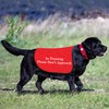 HOLLP Training Dog Jacket Vest in Training Please Don't Approach
