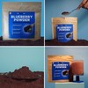 Organic Blueberry Powder - 100% Canadian Blueberries, Pure, No Sugar