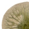 Marui Pottery 3-4082 Shigaraki Ware Hechimon Plate, Diameter Approx. 4.3
