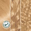 Garnier Nutrisse 93 Light Golden Blonde Permanent Hair Color 2