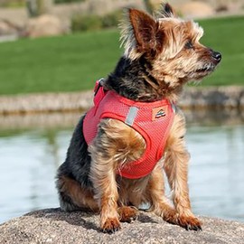DOGGIE DESIGN American River Step in Wrap Up Ultra Choke-Free Mesh Dog Harness with Safe Night Walking Reflective Strips (Soft Mesh Polyester, Machine Wash and Line Dry) (3XL, Coral)