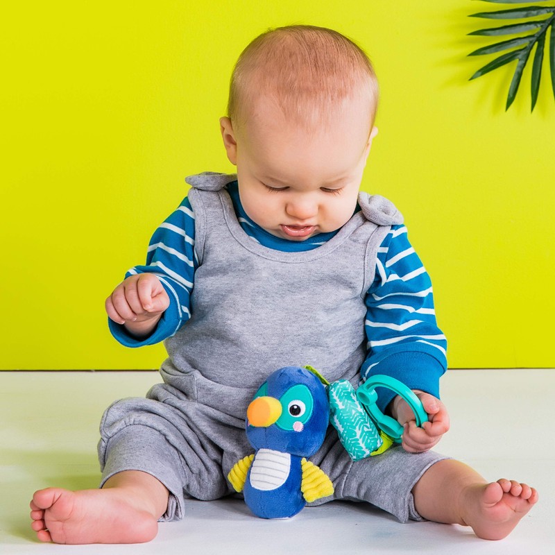 Bright Starts 12343 Chime Along Friends Tarp