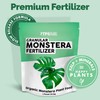Organic Monstera Plant Food, Slow Release Dry Granular Fertilizer for