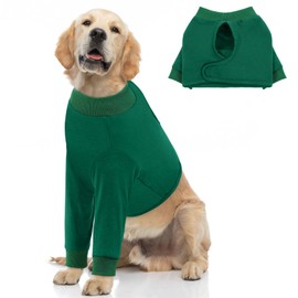 Queenmore Dog Leg Sleeve to Stop Licking, Dog Recovery Sleeve for Front Legs, Dog Recovery Suit Male, Adjustable Dog Wound Care, Dog Cone Alternative After Surgery, Green, XXL